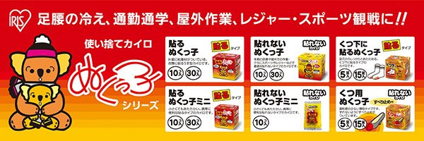  アイリス・ファインプロダクツ ぬくっ子 くつ用カイロ すべり止め付 5コ入