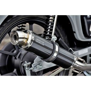 ビームス ビームス G1008-53-106 R-EVOカーボンサイレンサーダウンタイプ CROSSCUB110 8BJ-JA60 政府認証