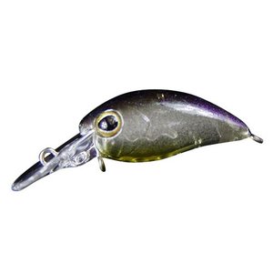 ティモン TIMON ティモン ちびパニクラ SR ダイゴマジョグロー