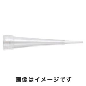 サーモフィッシャーサイエンティフィック サーモフィッシャー T104RLS-Q QSP ピペットチップ 0.1-10μL クリアー 31.5mm 詰め替え 96本×5プレート×2パック 滅菌済