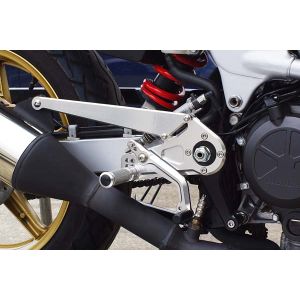 ベビーフェイス BabyFace ベビーフェイス 002-H013SV バックステップ/シルバー 6P VTR250 98-13