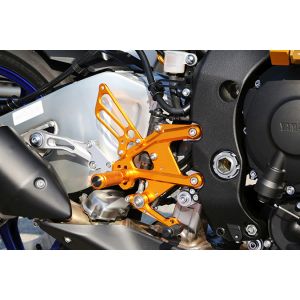 ベビーフェイス BabyFace ベビーフェイス 002-Y022GD バックステップキット ゴールド MT-10 17