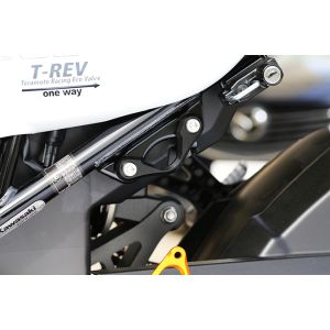 ベビーフェイス BabyFace ベビーフェイス 005-FK007GD レーシングフック ゴールド Z900RS 18-