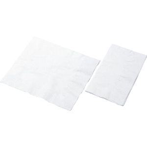 尚美堂 フジナップ 2PLY ナフキン 4ッ折り 45cm 白 100枚入 尚美堂