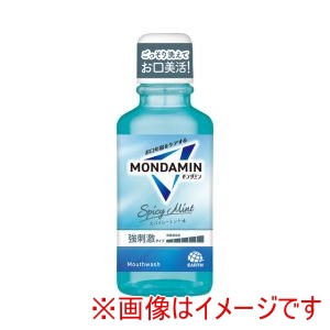 アース製薬 EARTH アース モンダミン スパイシーミント 100ml