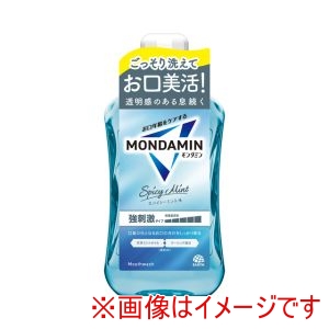 アース製薬 EARTH アース モンダミン スパイシーミント 1000ml