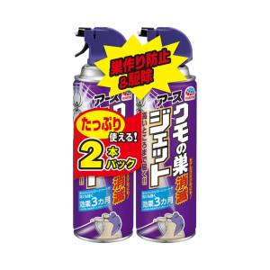 アース製薬 EARTH アース クモの巣 消滅ジェット 450mL 2本パック