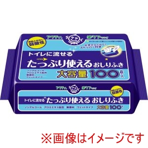 日本製紙クレシア 日本製紙クレシア 306750 80623 アクティ 楽ケア トイレに流せるたっぷり使えるおしりふき 100枚入