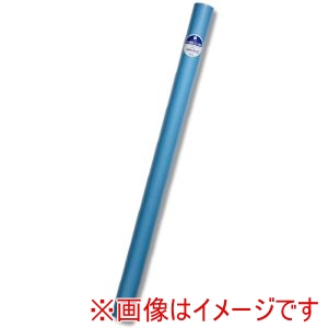 シモジマ HEIKO シモジマ 2497405 カラー模造紙 全判 ブルー 5枚入り