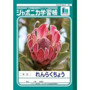 ショウワノート ショウワノート ジャポニカ 学習帳 A5 れんらくちょう 9行 JA-68