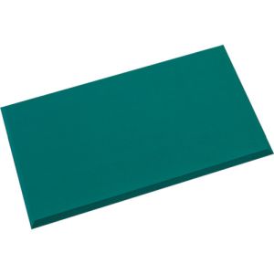テラモト テラモト MR-939-645-0 制電クッションマット 450×750mm メーカー直送 代引不可 北海道沖縄離島不可