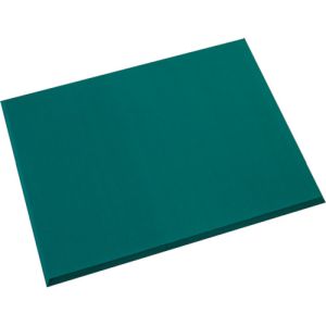 テラモト テラモト MR-939-675-0 制電クッションマット 750×900mm メーカー直送 代引不可 北海道沖縄離島不可