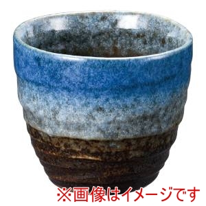 遠藤商事 TKG TKG 森の湖 一服椀 D03-139 RWV4701 遠藤商事