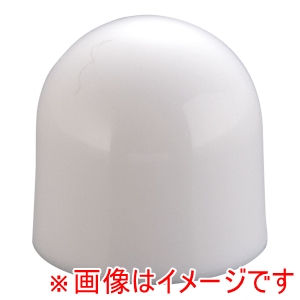 日本炭酸瓦斯 NTG エスプーマ NTG アドバンス CO2 兼用 ネジキャップ 日本炭酸瓦斯