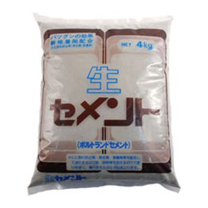 家庭化学工業 家庭化学工業 生セメント 4kg