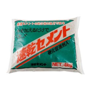 家庭化学工業 家庭化学工業 速乾セメント 4kg