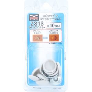 ダンドリビス ダンドリビス C-ZCS813-BP Zキャップ + Zワッシャーセット ライトアイボリー Z813 各10個