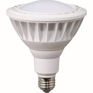 ハタヤリミテッド HATAYA ハタヤ LDR20L-H110 LED作業灯 20W交換球電球色広角タイプ メーカー直送 代引不可 沖縄 離島不可