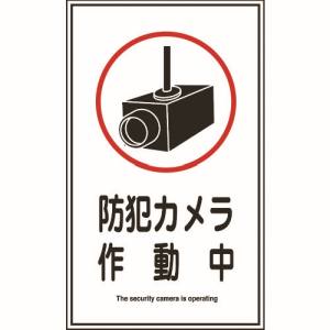 日本緑十字社 緑十字 47123 イラストステッカー標識 防犯カメラ作動中 貼123 200×120mm 10枚組