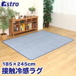 アストロ アストロ ひんやりタッチのしじら調 ラグ 長方形 333-05