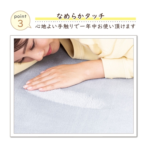  アストロ アストロ ついつい撫でちゃうあったかラグ 長方形 333-09