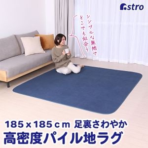 アストロ アストロ 足裏さわやか タオル地 ラグ 正方形 333-11