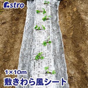 アストロ アストロ 敷きわら風 キラキラシート1×10m 530-09