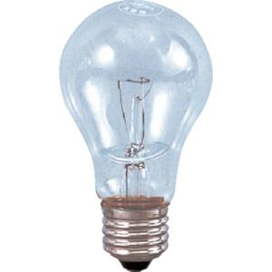 日動工業 NICHIDO 日動工業 WT-200 交換球 防雨型ハンドランプ用 防雨耐震球200W WT-200