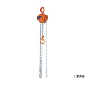 象印チェンブロック 象印 C21-03030 C21型チェーンブロック 3t 3m