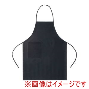 三景 三景 使い捨て ワークエプロン 25枚入 SEPC901