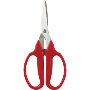 DAISHIN DAISHIN ステンレス小枝切鋏