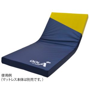 ケープ ケープ キュオラ 防水タイプ 900 専用カバー CH-595