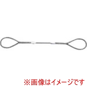 日興製綱 NIKKO 日興製綱 WR-9S6 9MMX6.0M Wスリング 全長6m スリング径9mm