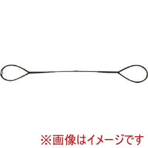 日興製綱 NIKKO 日興製綱 D12-25 台付けワイヤー スリング径12mm 全長2.5m