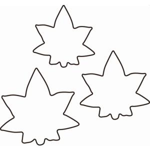 たかもり たかもりの 生抜 3PC 紅葉