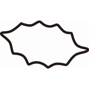 たかもり たかもり たかもりの 生抜 柊 小 1