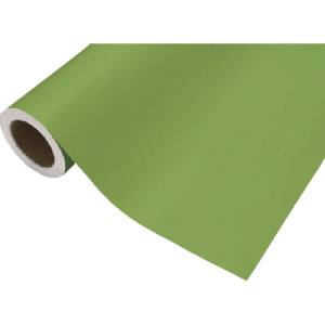 中川ケミカル 中川ケミカル CS045411R カッティングシート411イエローグリーン450mm×12M