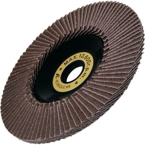 イチグチ ICHIGUCHI イチグチ BS テクノディスク E-A100X15120