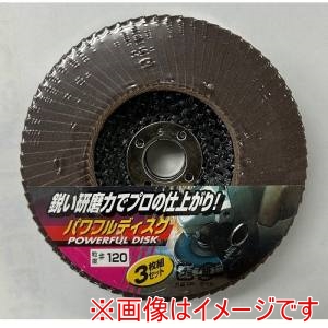 イチグチ ICHIGUCHI イチグチ BSパワフルディスクA3枚組#120