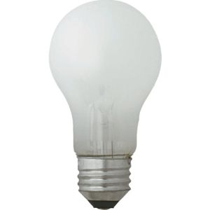 トーメ トーメ LW100V54WTM 白熱電球