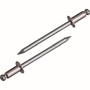 ロブテックス LOBTEX ロブテックス NSS4-3 エビ ブラインドリベット ステンレス/スティール 4-3 1000本入