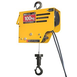 オーエッチ工業 OH オーエッチ工業 DWH-100 電動ワイヤーホイスト 100