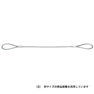 オーエッチ工業 JSH オーエッチ工業 12X2M 台付ワイヤー ハダカ仕様