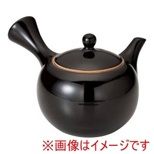 ヤマキイカイ ヤマキイカイ カラー丸型急須 ブラック Y902