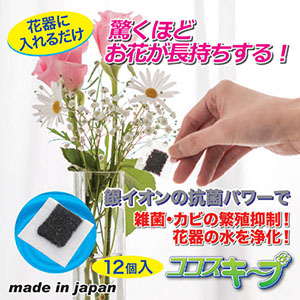 後藤 生け花イキイキ!ココスキープ(12個入) 870329