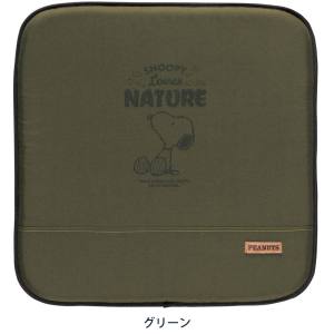 ボンフォーム BONFORM ボンフォーム 5214-02GN スヌーピーネイチャー カク GN