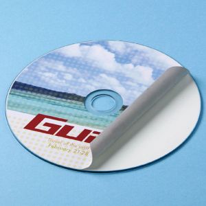 サンワサプライ SANWA SUPPLY インクジェット透けないCDラベル(内径24mm・マット) LB-CDR004N