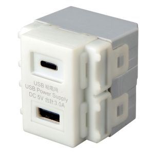 サンワサプライ SANWA SUPPLY サンワサプライ TAP-KJUSB1C1W コンセント TYPEC搭載 埋込USB給電用