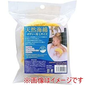 イシミズ イシミズ #02500 天然海綿ボディー用L