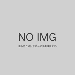 オリムパス オリムパス 刺し子キット 一目刺しの花ふきん 十字花刺し 294